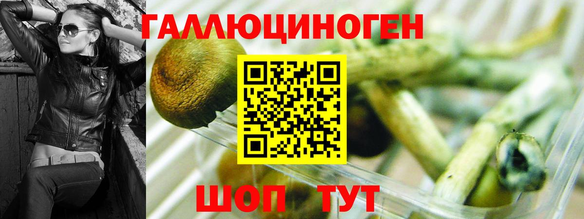 Псилоцибиновые грибы мухоморы  Галлюциногенные грибы MAGIC MUSHROOMS  Красноуфимск  Вход с VPN 